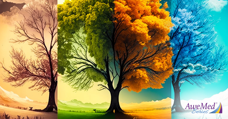 Four Seasons Winter Spring Summer and Autumn
