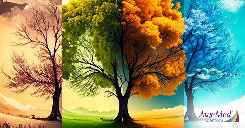 Four Seasons Winter Spring Summer and Autumn
